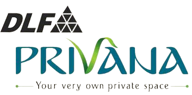 dlf logo